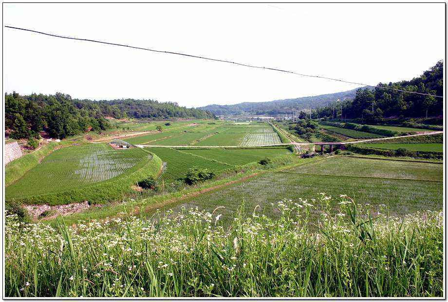 20060617_12.jpg