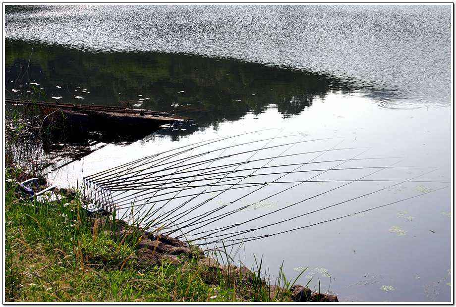 20060617_13.jpg