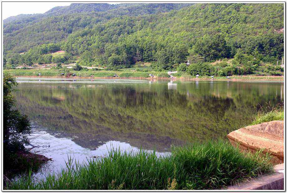 20060617_18.jpg