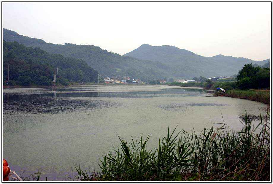 20060617_32.jpg