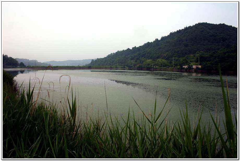 20060617_41.jpg