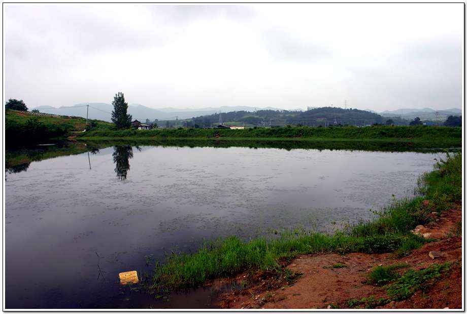 20060622_14.jpg