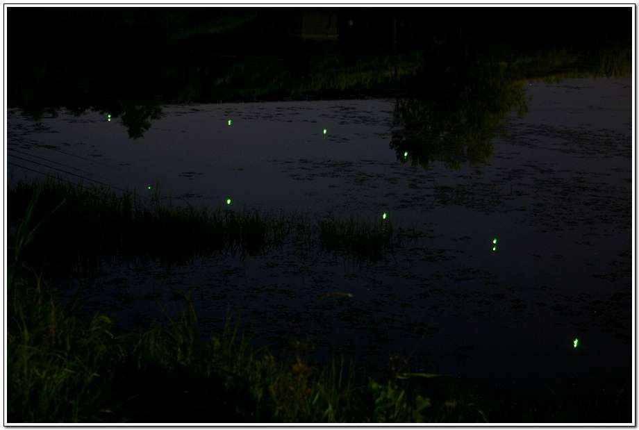 20060622_43.jpg