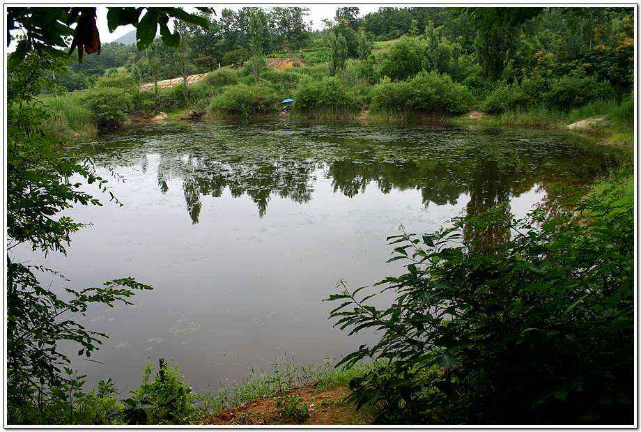 20060624_18.jpg