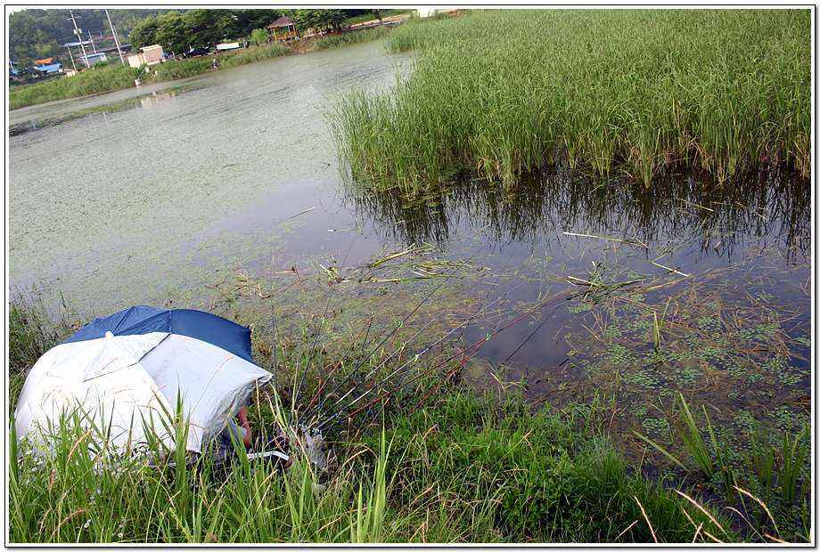 20060624_27.jpg