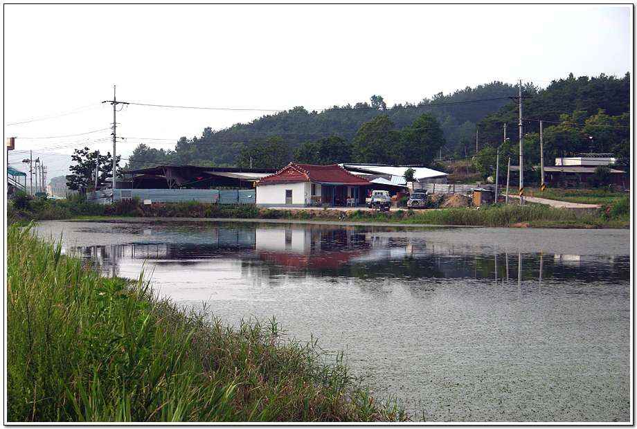 20060624_28.jpg