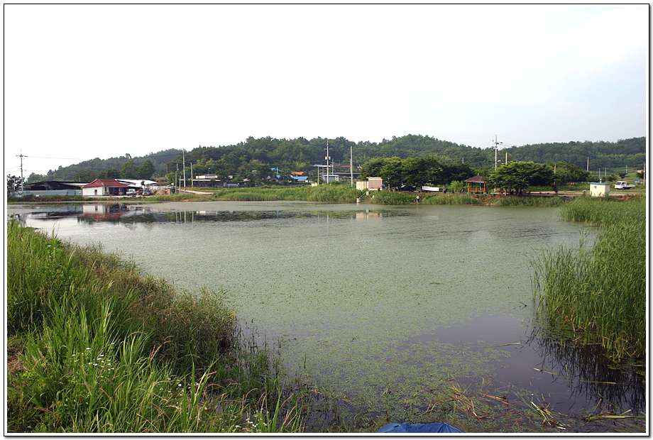 20060624_29.jpg
