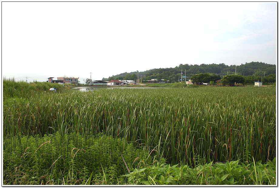 20060624_31.jpg
