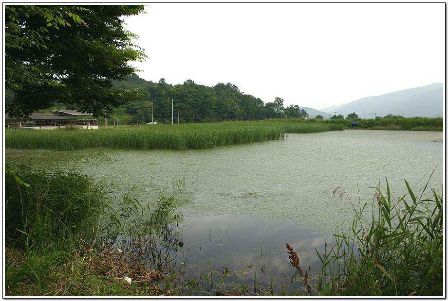 20060624_34.jpg