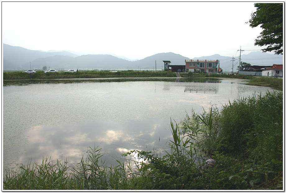 20060624_35.jpg