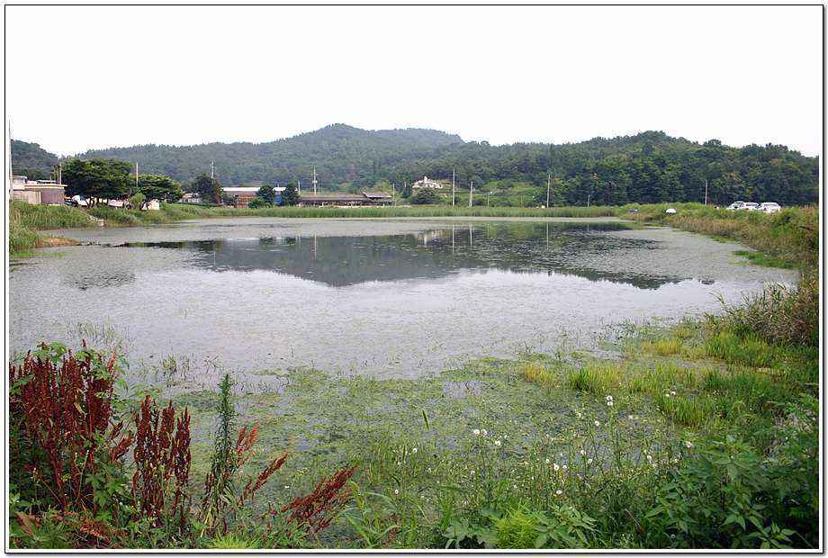 20060624_41.jpg