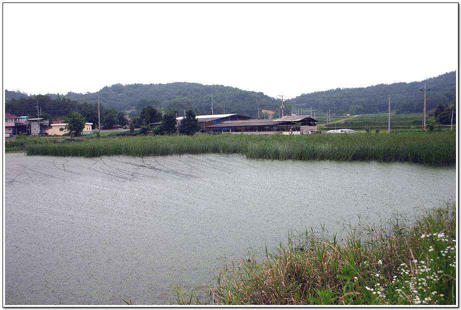 20060624_47.jpg