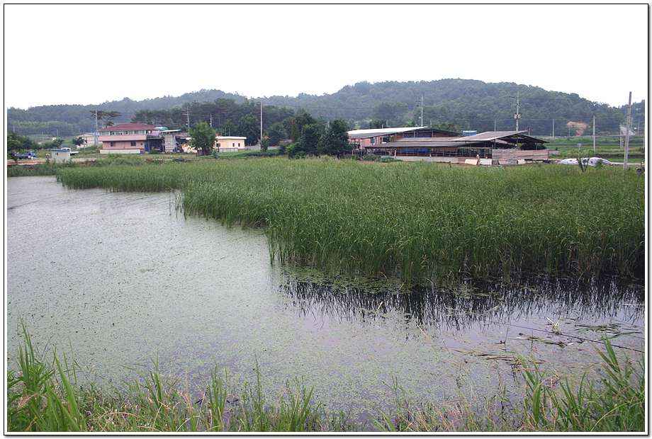 20060624_49.jpg