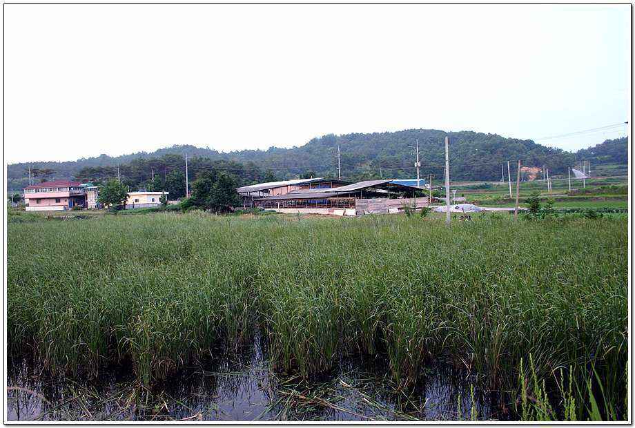 20060624_53.jpg