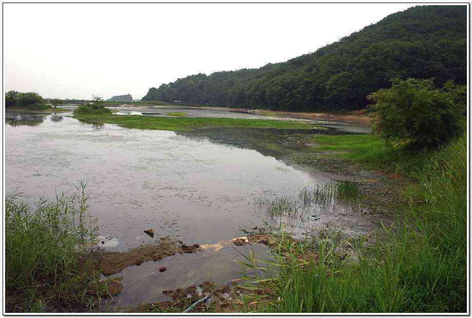 20060624ds_01.jpg