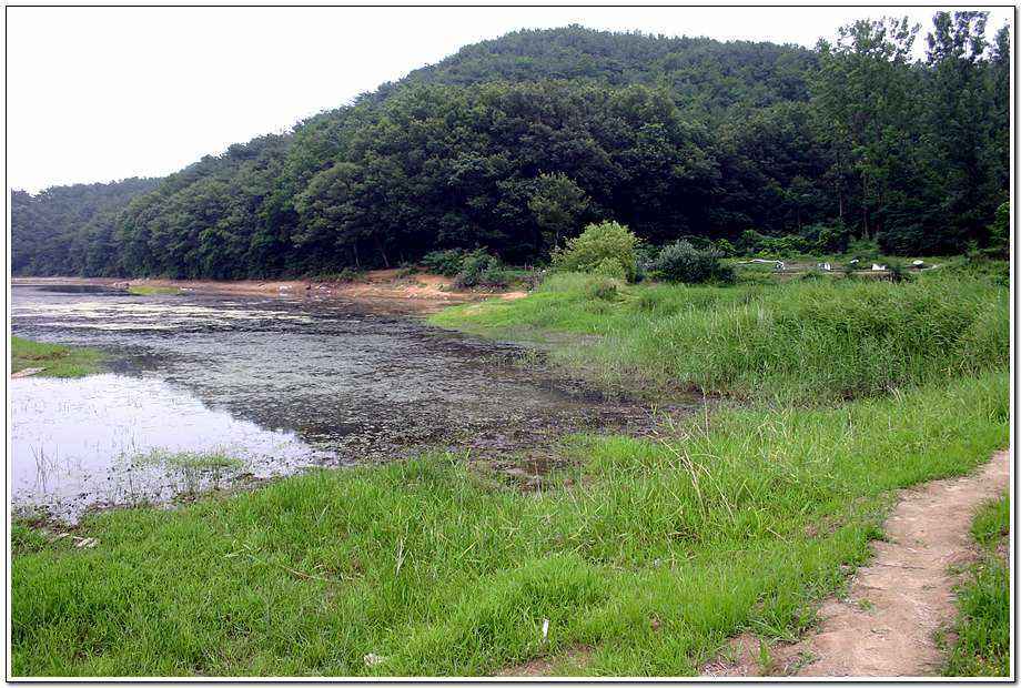20060624ds_04.jpg