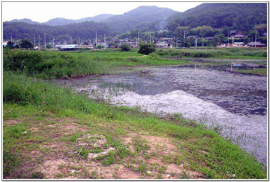 20060624ds_06.jpg