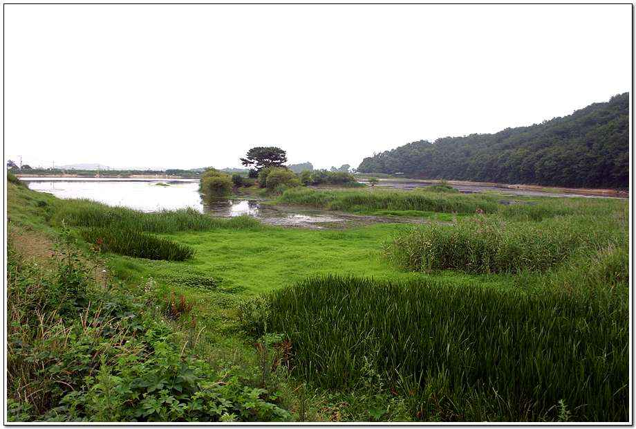 20060624ds_10.jpg