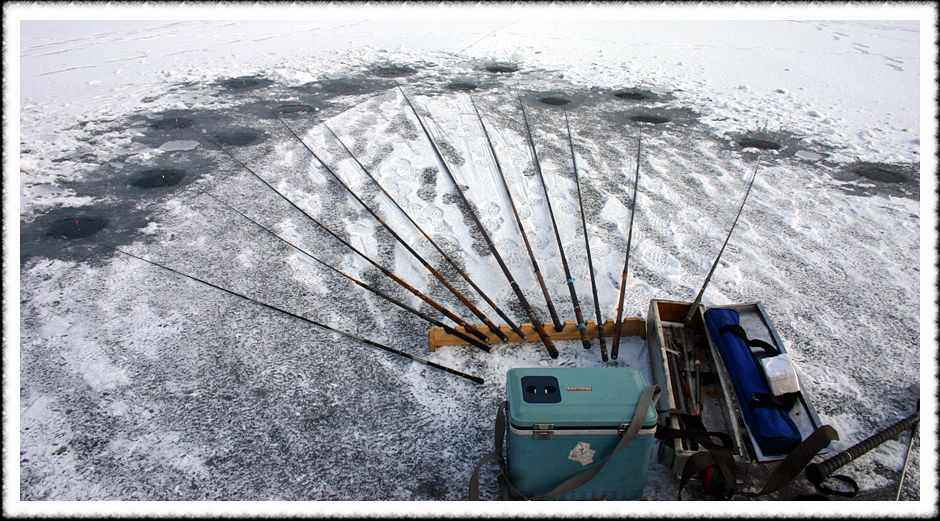 20070128_19.jpg