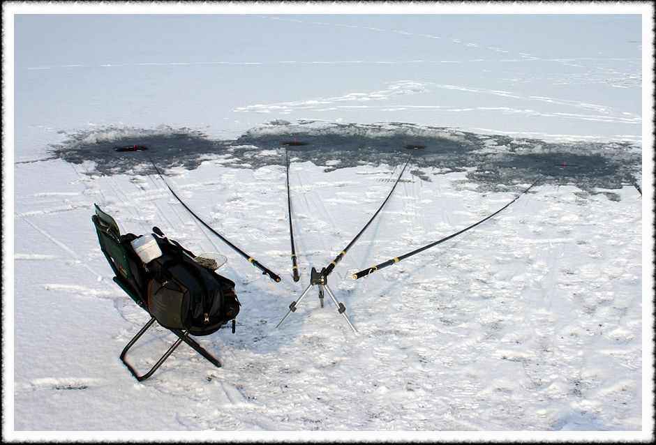 20070128_26.jpg