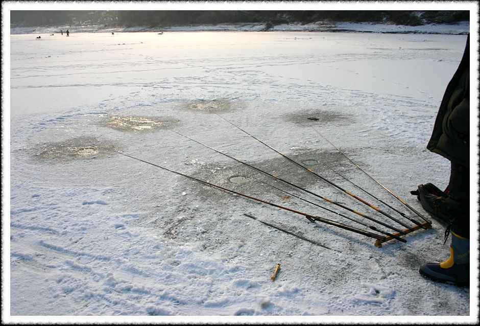 20070128_35.jpg