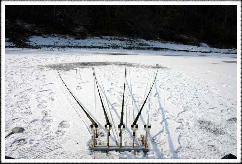20070128_41.jpg