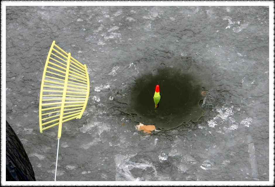 20070128_51.jpg