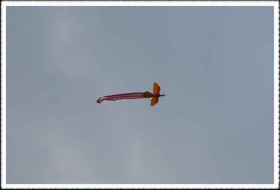 20070128_54.jpg