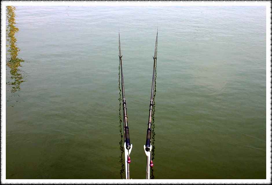 20070210_03.jpg