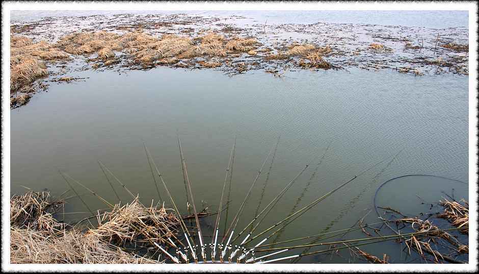 20070210_12b.jpg
