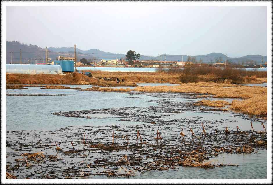 20070210_14.jpg
