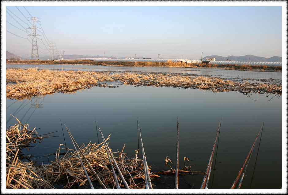 20070210_27.jpg
