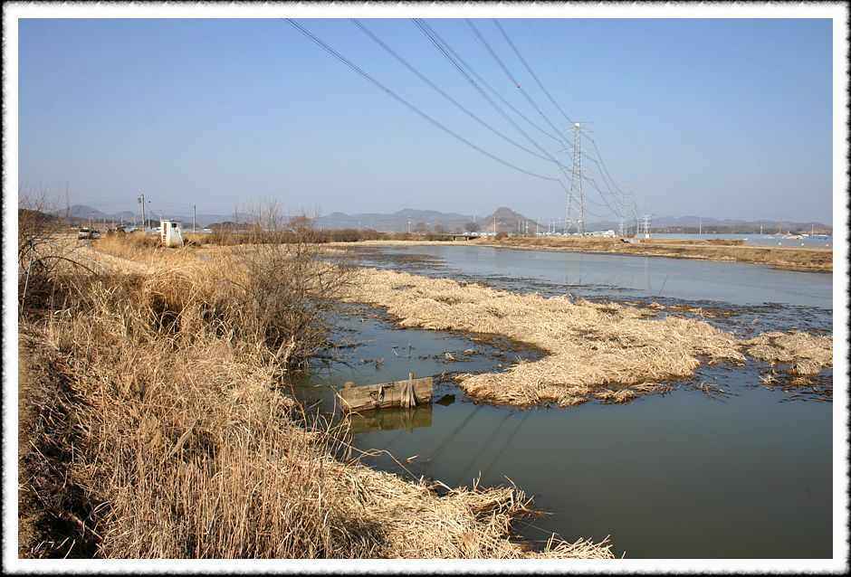 20070210_30.jpg
