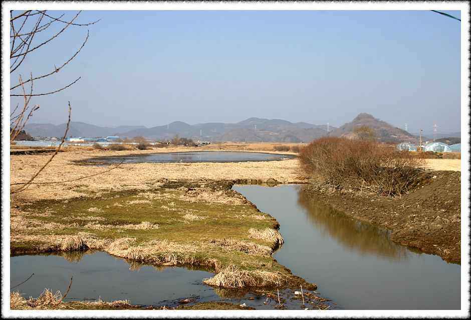 20070210_33.jpg
