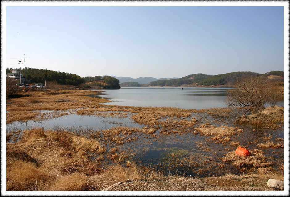 20070210_35.jpg