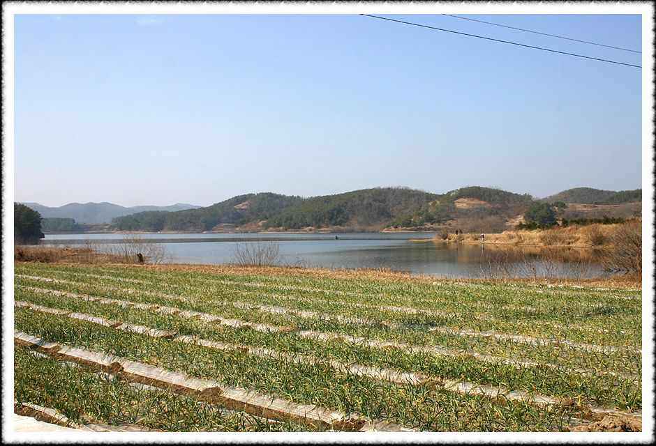 20070210_37.jpg