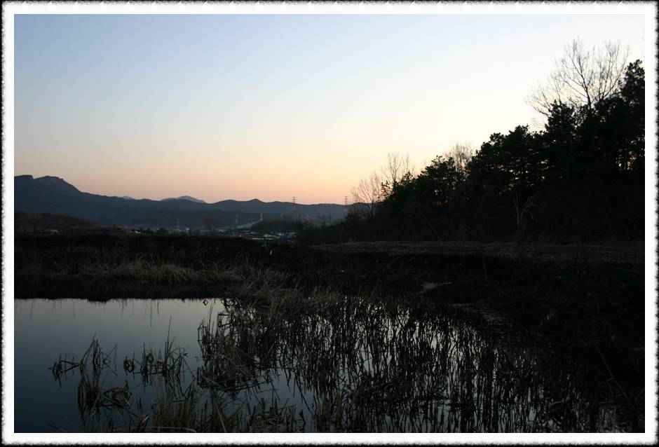 20070219_26.jpg