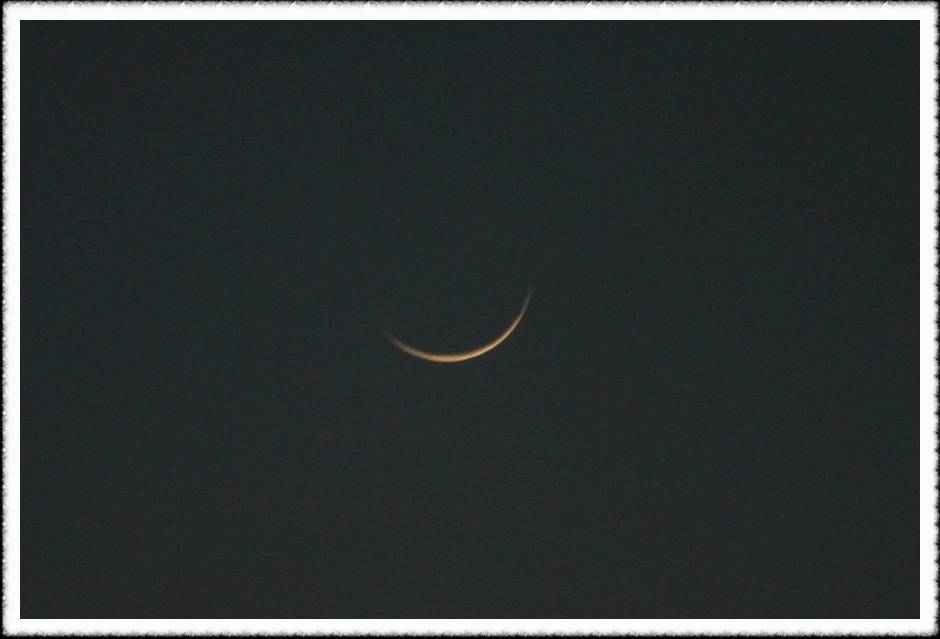 20070219_27.jpg