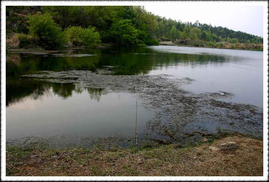 20070428_01.jpg