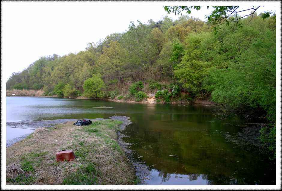 20070428_03.jpg