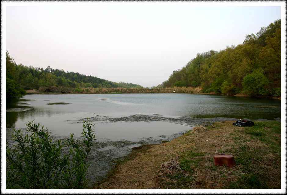 20070428_04.jpg
