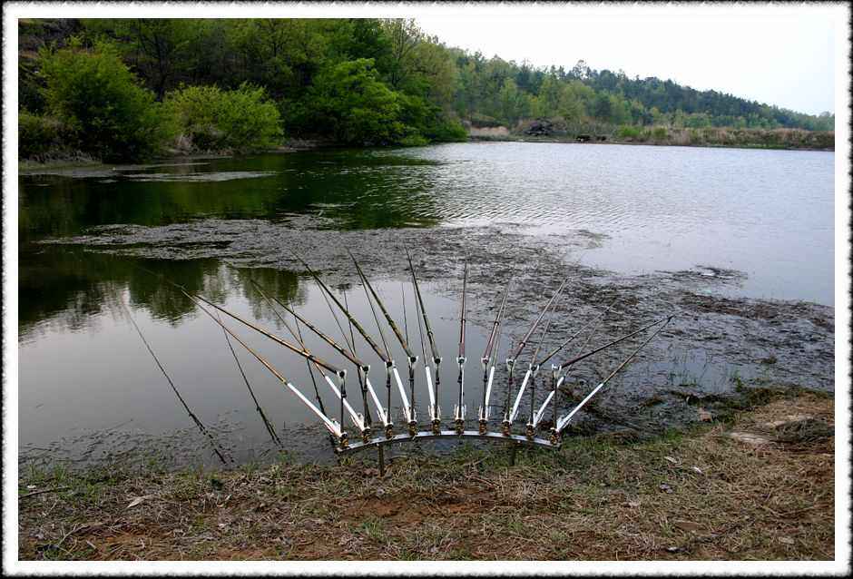 20070428_06.jpg