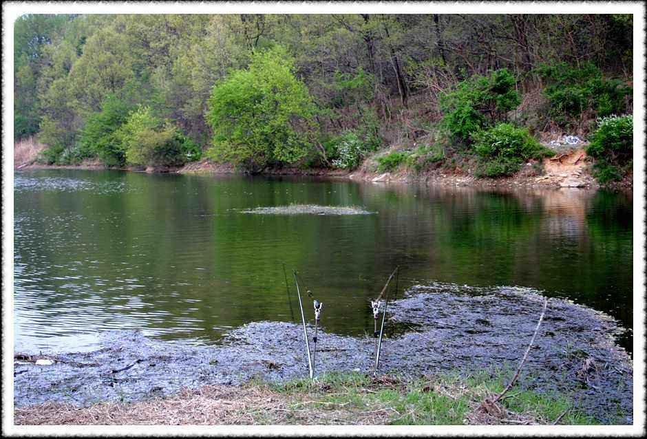 20070428_07.jpg