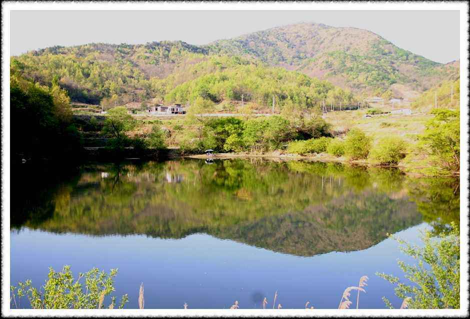 20070428_14.jpg