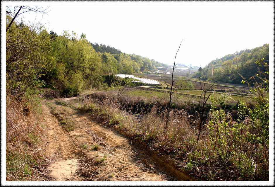 20070428_15.jpg