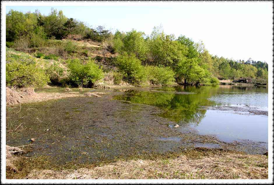 20070428_20.jpg