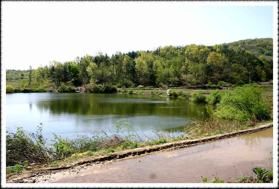 20070428_25.jpg