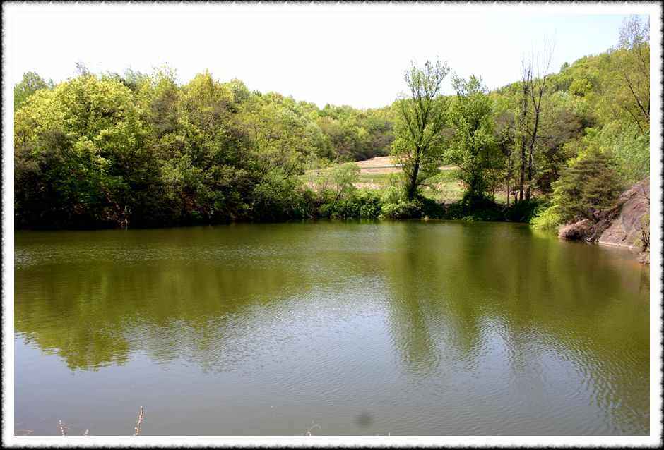 20070428_28.jpg