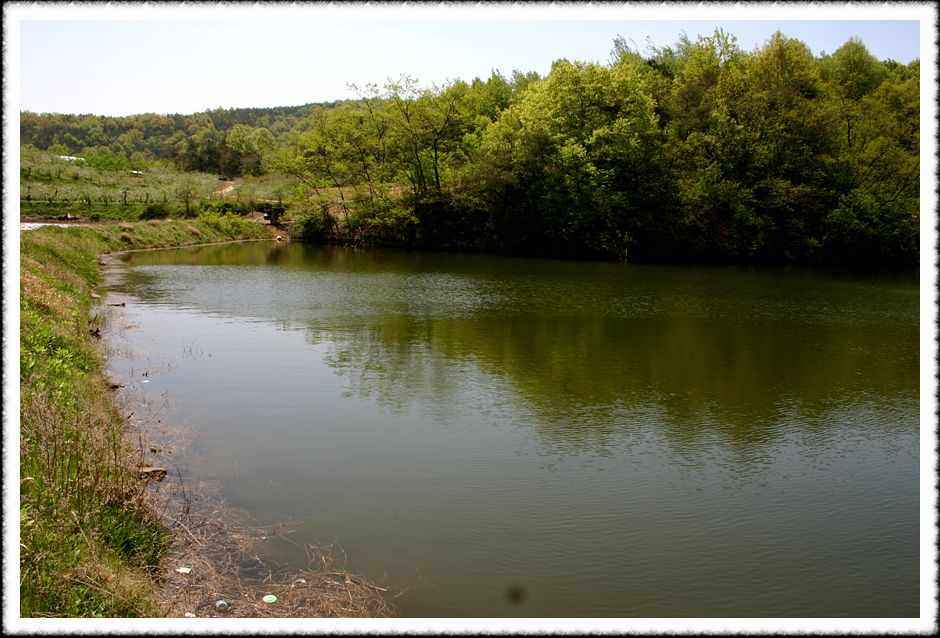 20070428_29.jpg