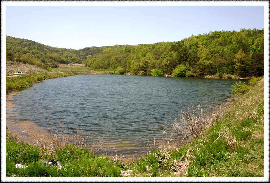 20070428_30.jpg